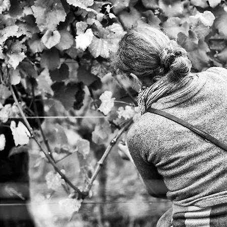 In Landau Stadtoase 公寓 朗道因德普法尔茨