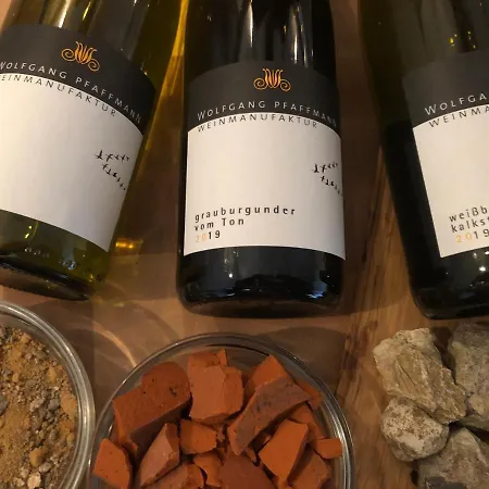 Apartamento In Landau Stadtoase