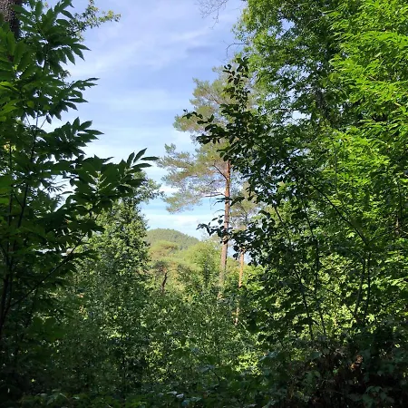 In Landau Stadtoase
