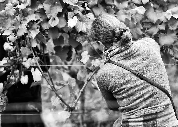 In Landau Stadtoase 公寓 朗道因德普法尔茨