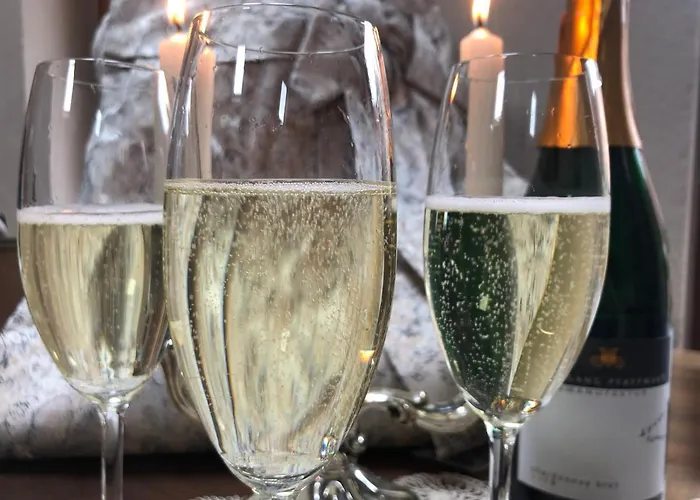 In Landau Stadtoase 公寓