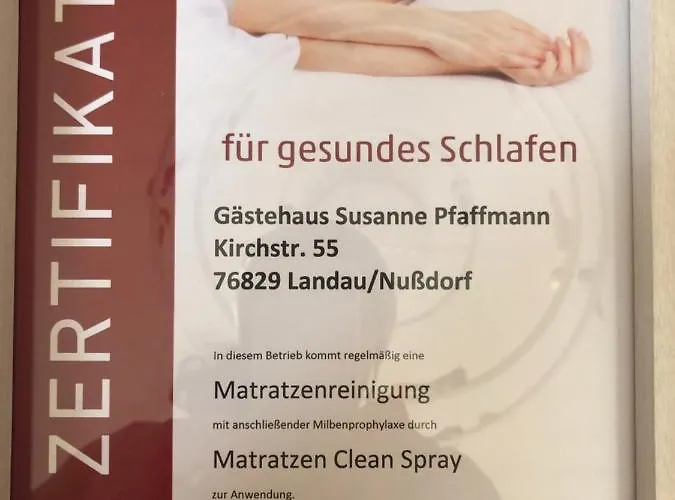 Lägenhet In Landau Stadtoase